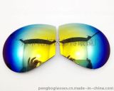 廣州市花都區(qū)彭博眼鏡廠 專業(yè)戶外運(yùn)動眼鏡批發(fā)，為您提供騎行與滑雪全系列解決方案