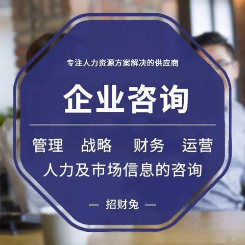 企業(yè)管理咨詢財(cái)務(wù)人力市場信息咨詢顧問服務(wù)