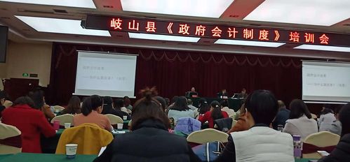 專業(yè)護(hù)航企業(yè)成長 寶雞澎海財(cái)務(wù)咨詢服務(wù)解析